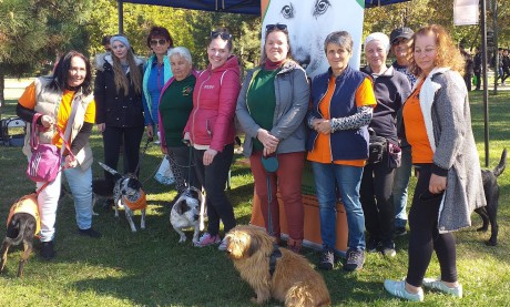 Több mint 300 állatot adott örökbe tavaly a HEROSZ Fehérvári Állatotthona